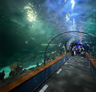Loro Parque